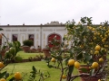 Il giardino a parterre